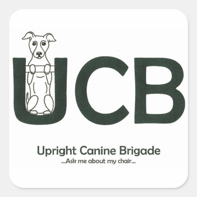 UCB-Logo-Aufkleber Quadratischer Aufkleber (Vorderseite)