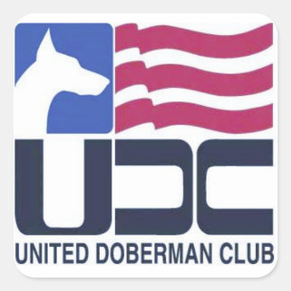 UDC-Logo-Aufkleber Quadratischer Aufkleber