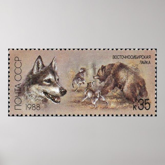 UdSSR ~ Briefmarke Poster Jagd Hund 05 (Vorne)