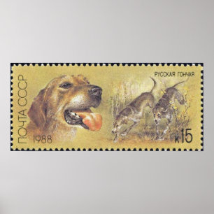 UDSSR-Briefmarken-Plakat-Jagd-Hund 03 Poster