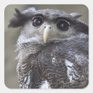 Ueno, Taitoh-ku, Tokio, Japan 2 Quadratischer Aufkleber