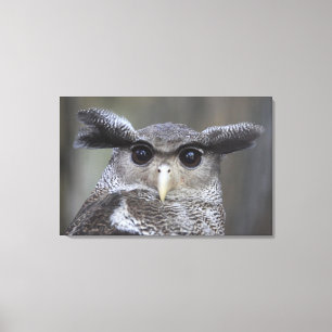 Ueno, Taitoh-ku, Tokyo, Japan 3 Leinwanddruck