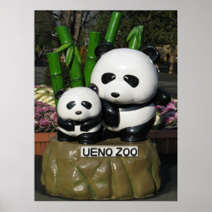 Ueno-Zoo-Panda-Schild Poster