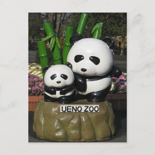 Ueno Zoo Panda Sign Postkarte (Vorderseite)