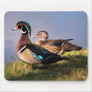 Ufer, Waldschnatterente Mousepad