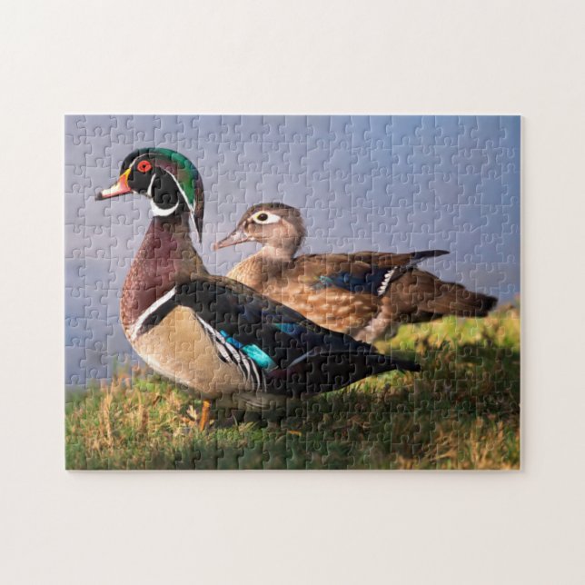 Ufer, Waldschnatterente Puzzle (Horizontal)