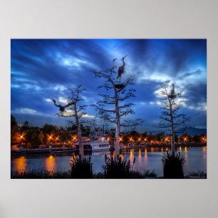 Ufergegend-Reiher Poster