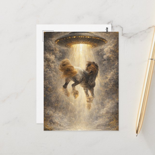 UFO-Entführung eines wunderschönen Gypsy Vanner Pf Postkarte (Vorderseite/Rückseite Beispiel)