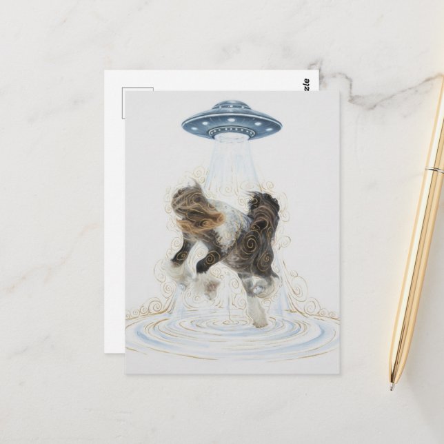 UFO holt ein wunderschönes Pferd Postkarte (Vorderseite/Rückseite Beispiel)