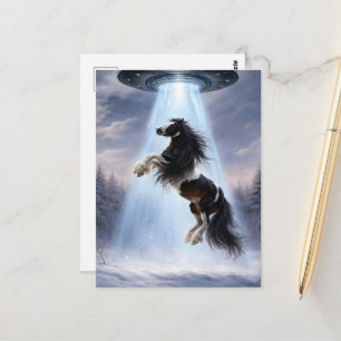 UFO holt einen gefleckten Gypsy Vanner Horse Postkarte