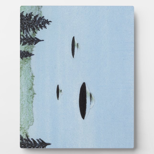 UFO Trio Fotoplatte (Vorderseite)