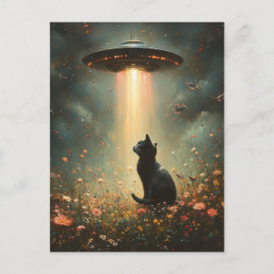 Ufo und eine schwarze Katze Postkarte
