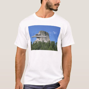 UFOSalamander am Teufel-Turm T-Shirt