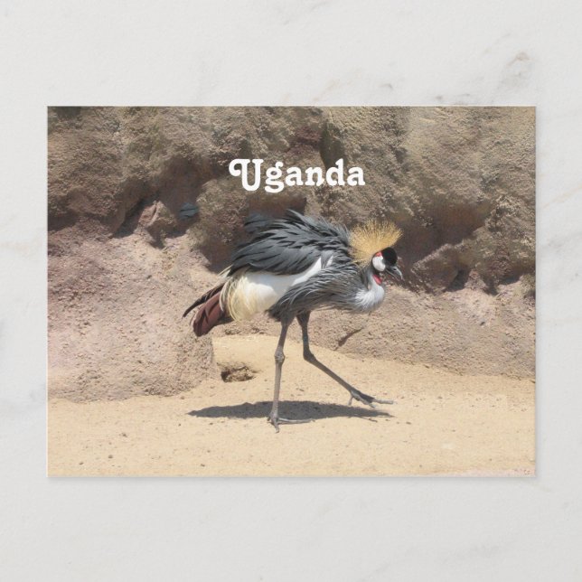 Uganda Crested Crane Postkarte (Vorderseite)