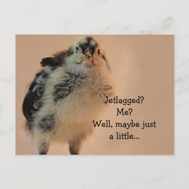 Ugly Chick Postkarte (Vorderseite)