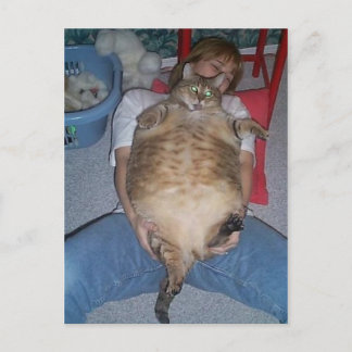 Ugly Fat Cat Postkarte