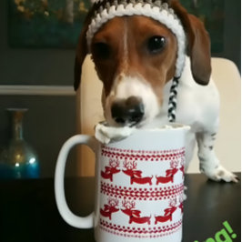 Ugly Sweater Rentier Dackel Tee Kaffee Tasse