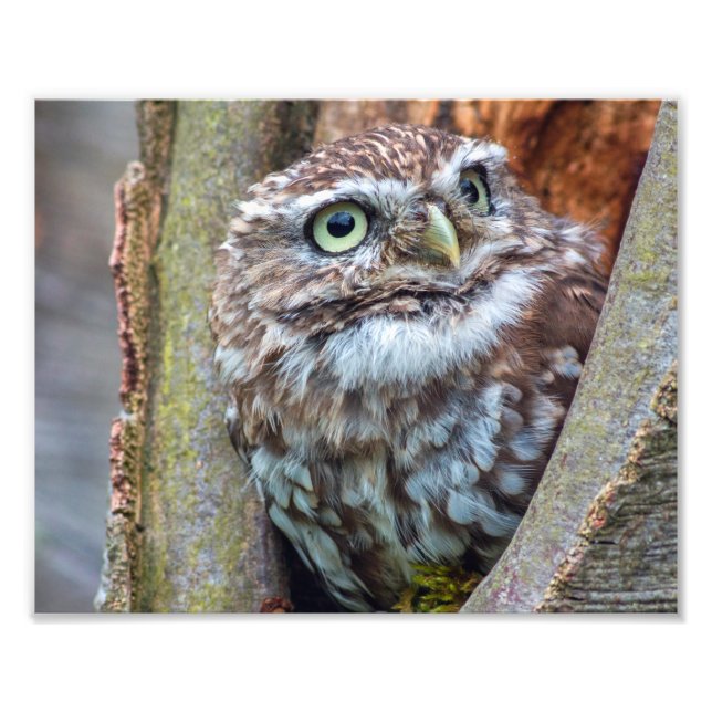 Uhfoto Fotodruck (Vorne)