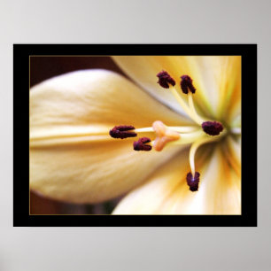 Uhr Anhalten Blumenposter Poster