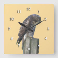 Uhr - Falke auf der Post