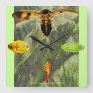 "Uhr-Hinterwelle-" Hinterwelleenthusiasten sind Li Quadratische Wanduhr