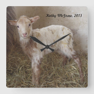 Uhr: Lamm KathyMcGraw Quadratische Wanduhr