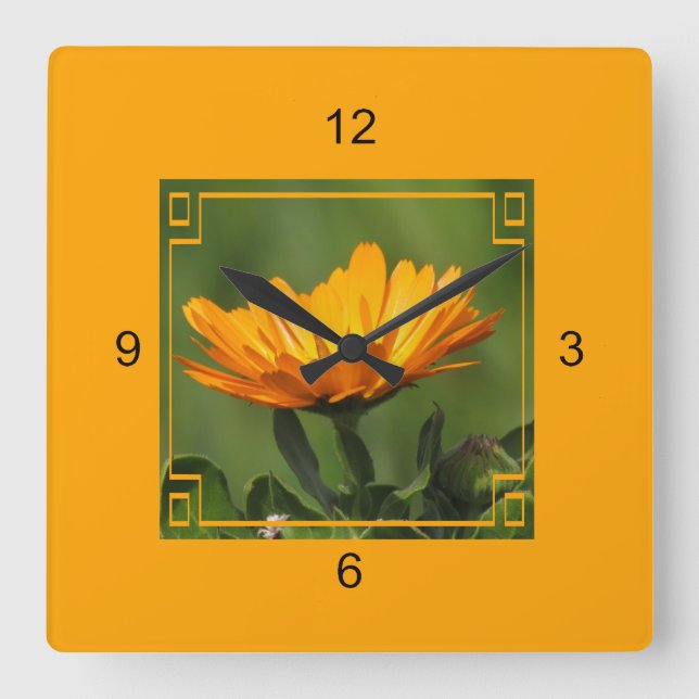 Uhr - Orangefarbene Blume in Rahmen (Vorderseite)