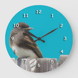 Uhr - Schwarzer und weißer Vogel auf Zaun