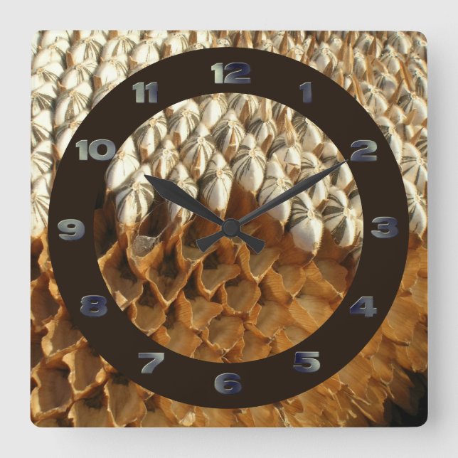 Uhr - Sonnenblumenkerne mit Kreis (Vorderseite)