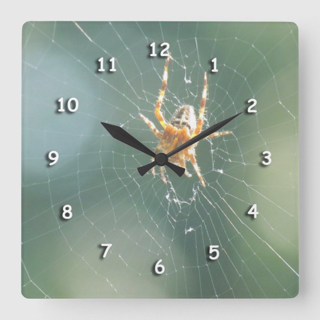Uhr - Spinne auf Netz (Vorderseite)