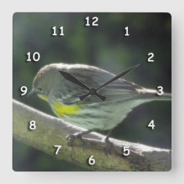 Uhr - Vogel mit gelben Federn