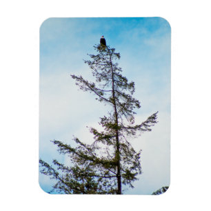 Uhrturm Magnet
