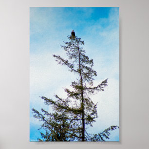 Uhrturm Poster