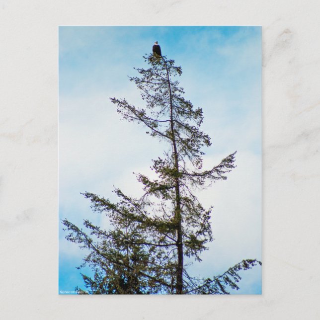 Uhrturm Postkarte (Vorderseite)