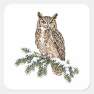 Uhu auf einem schneebedeckten Fichtenast Quadratischer Aufkleber