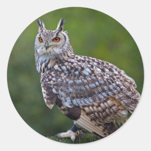 Uhu-Aufkleber Runder Aufkleber