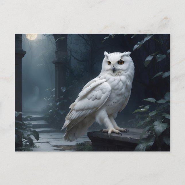 Uhu in der Nacht Postkarte (Vorderseite)