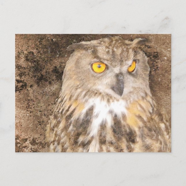 Uhu Robuster Hintergrund Postkarte (Vorderseite)