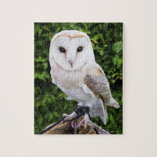 Uhu (Tyto Alba) auf Handschuh Puzzle