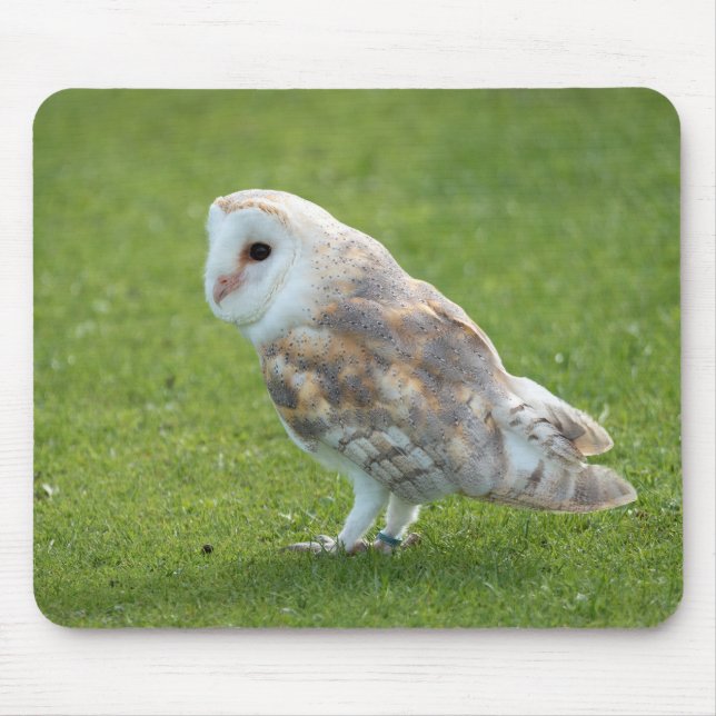 Uhu, Uhu Mousepad (Vorne)