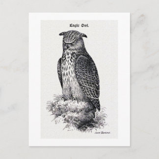 "Uhu" Vintage-Illustration Postkarte