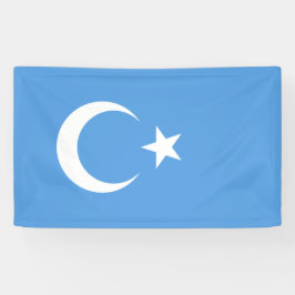 Uighurische Flagge Ostturkistans (Uighuristan) Banner