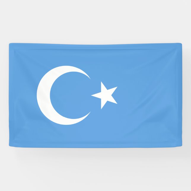 Uighurische Flagge Ostturkistans (Uighuristan) Banner (Horizontal)