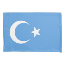 Uighurische Flagge Ostturkistans (Uighuristan) Kissenbezug