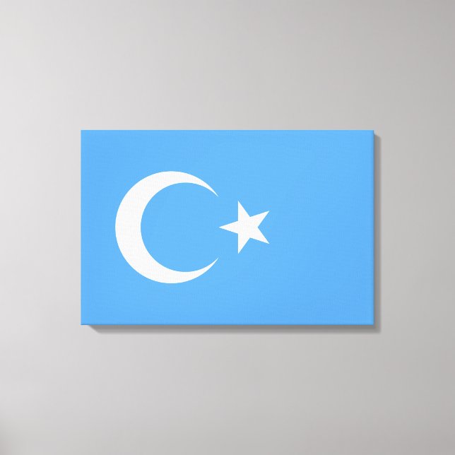 Uighurische Flagge Ostturkistans (Uighuristan) Leinwanddruck (Vorderseite)