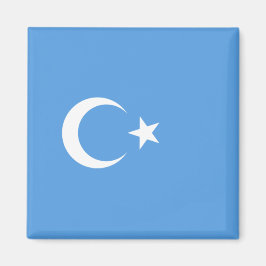 Uighurische Flagge Ostturkistans (Uighuristan) Magnet
