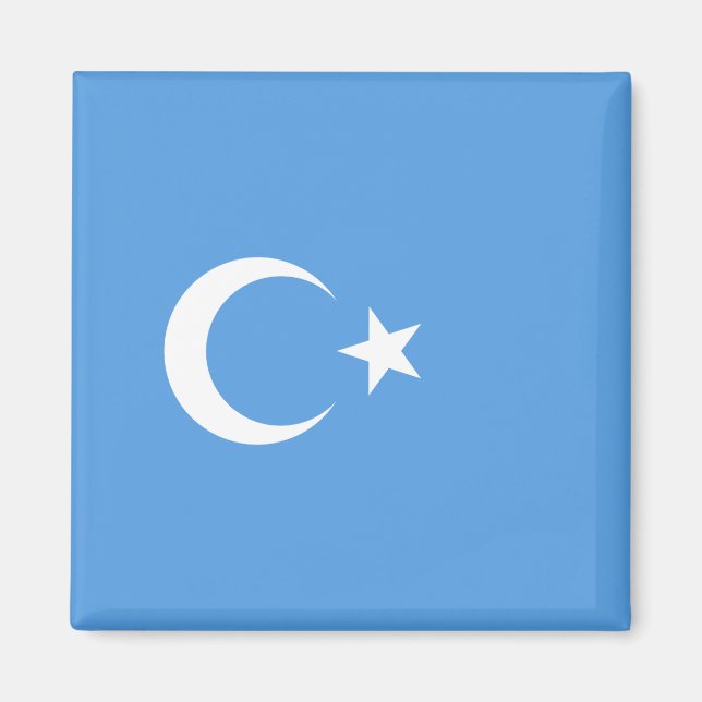 Uighurische Flagge Ostturkistans (Uighuristan) Magnet (Vorne)