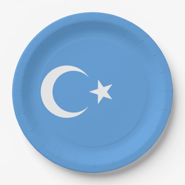 Uighurische Flagge Ostturkistans (Uighuristan) Pappteller (Vorderseite)