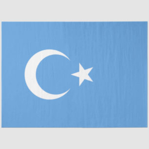 Uighurische Flagge Ostturkistans (Uighuristan) Seidenpapier