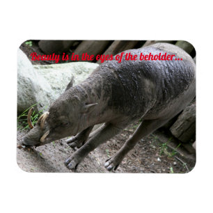 Uiguanische Tiere, Babirusa Magnet